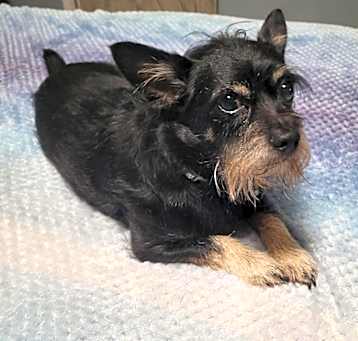 Photo of JACK