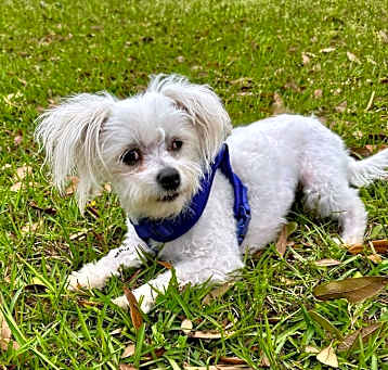 Photo of LILLY