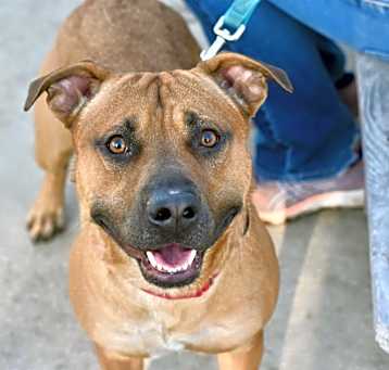 Photo of Clifford