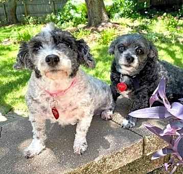 Photo of DARLA AND ELLA