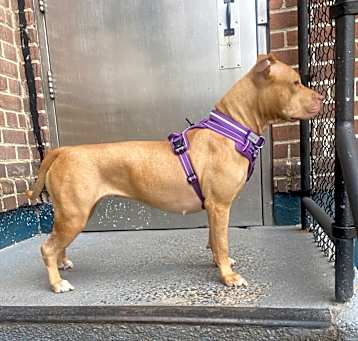 Photo of athena