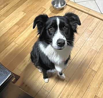 Photo of Beverly