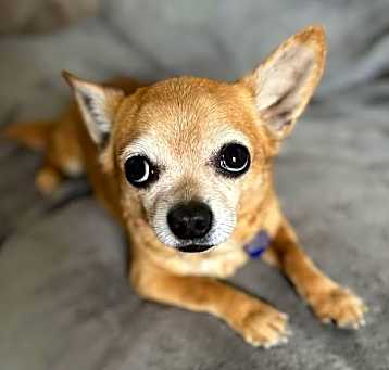 Photo of Tila