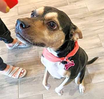 Photo of Suzy (New Digs)