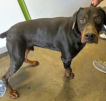 Photo of ZEUS