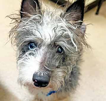 Photo of Wally