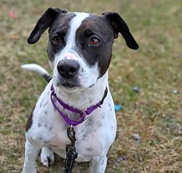 Photo of Betty