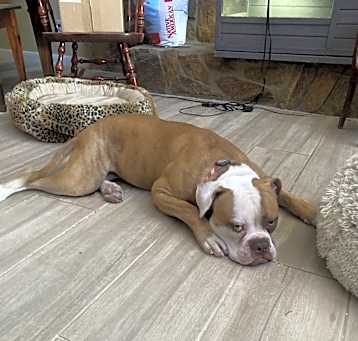 Photo of Zeke