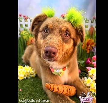 Photo of Mika