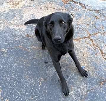 Photo of Ellie