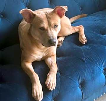Photo of Henny
