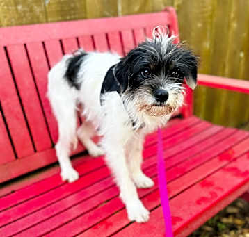Photo of Bonny