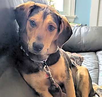 Photo of Lola