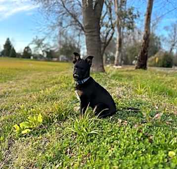 Photo of Chase