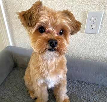 Photo of Kiwi
