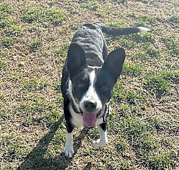 Photo of Beanie