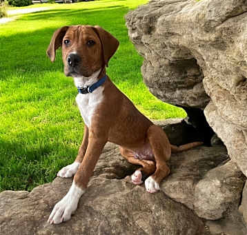 Photo of Reggie