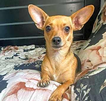 Photo of Buddy