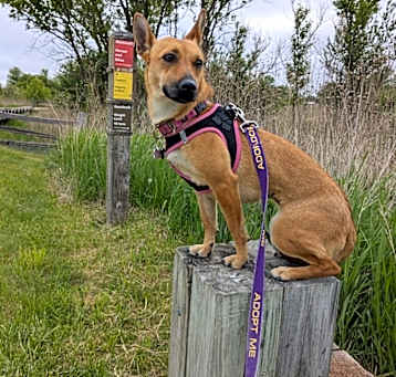 Photo of Roo Roo