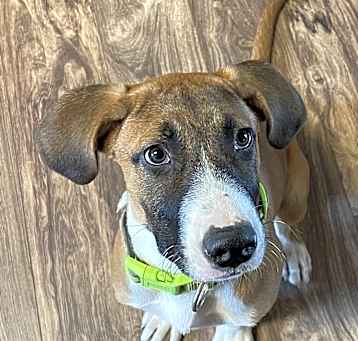 Photo of Aspen