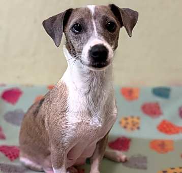 Photo of Winnie