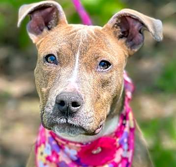 Photo of Hazel Mae