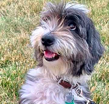 Photo of Nellie