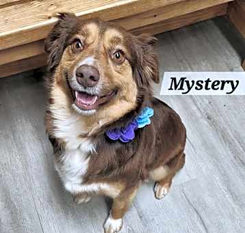 Photo of Mystery