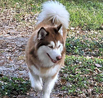 Photo of Jensen