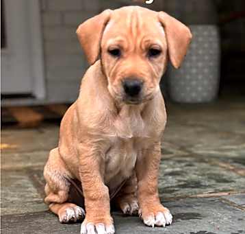 Photo of Lilly