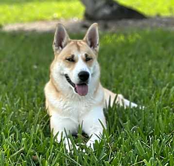Photo of Bon Bon