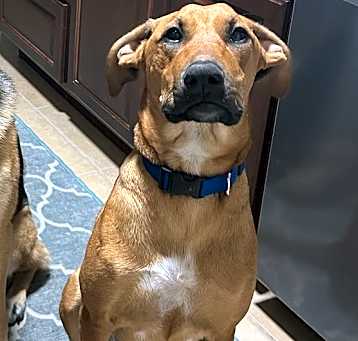 Photo of Penelope