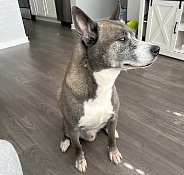 Photo of Blue