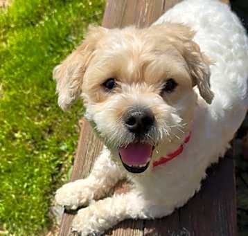 Photo of Scottie
