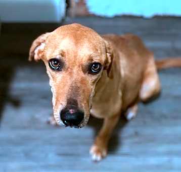 Photo of Sundance