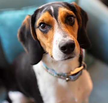 Photo of Bleeker