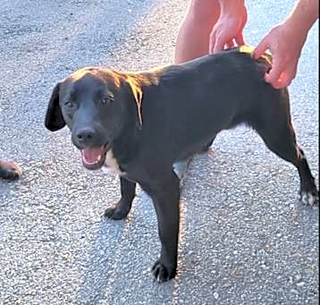 Photo of Zoom