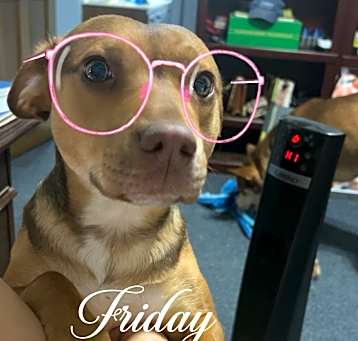 Photo of Kyli