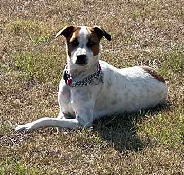 Photo of Shasta Lili