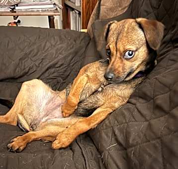 Photo of Mabel