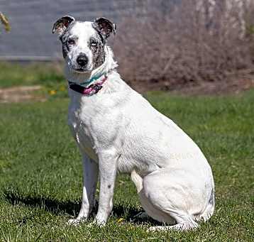 Photo of Xena