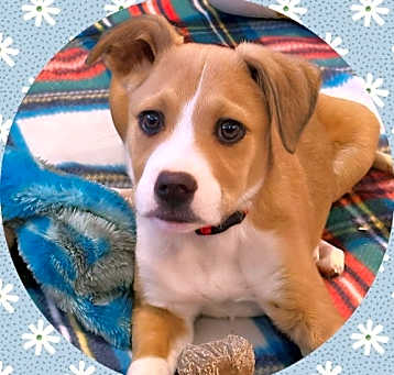 Photo of MYLO