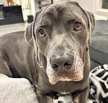 Photo of Zeus