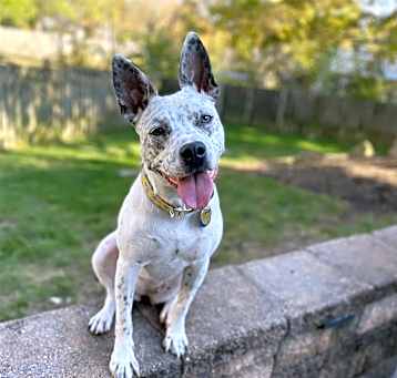 Photo of Pepper AB