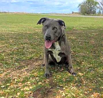 Photo of Lacy