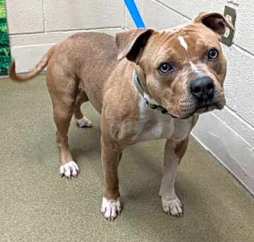 Photo of A542065