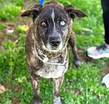 Photo of Spirit