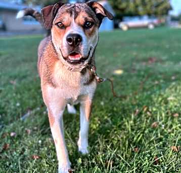 Photo of Lily