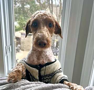 Photo of Eddie