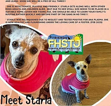 Photo of Starla